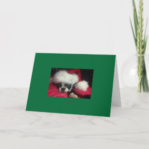Boston Terrier Christmas Card Feiertagskarte