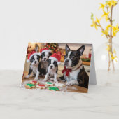 Boston Terrier Christmas Cookie Card Karte (Gelbe Blume)