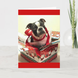 Boston Terrier Christmas Präsenzkarte Feiertagskarte