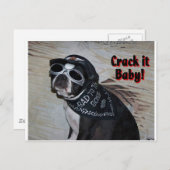 Boston Terrier: Crack it, Baby! Postkarte (Vorne/Hinten)
