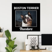 Boston Terrier Custom Dog Poster (Heimbüro)