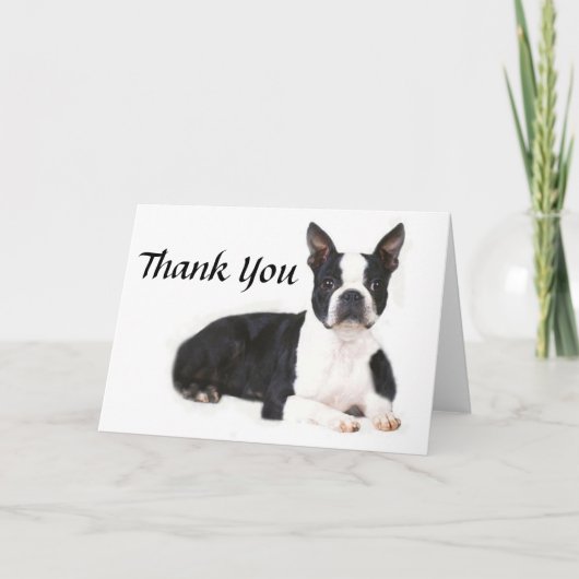 Boston Terrier danken Ihnen zu kardieren Dankeskarte (Vorderseite)