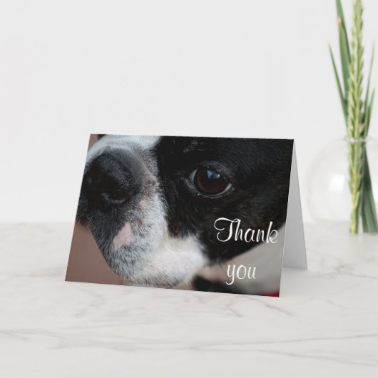 Boston-Terrier Dankeskarte (Vorderseite)