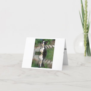 Boston Terrier, das an Sie denkt, kardieren Karte