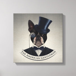 Boston Terrier - der amerikanische Herr Leinwanddruck