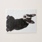 Boston-Terrier, der Sie Puzzlespiel mit Puzzle (Horizontal)