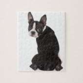 Boston-Terrier, der Sie Puzzlespiel mit Puzzle (Vertikal)