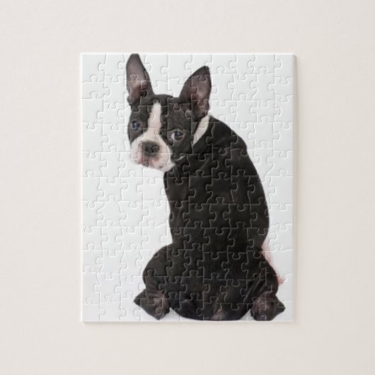 Boston-Terrier, der Sie Puzzlespiel mit Puzzle (Vertikal)