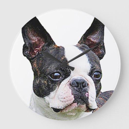 "Boston terrier" design wall clocks Große Wanduhr (Vorderseite)