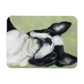 Boston Terrier Dog Art Magnet (Horizontal)
