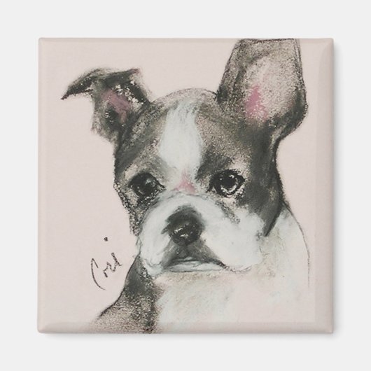 Boston Terrier Dog Art Magnet (Vorne)