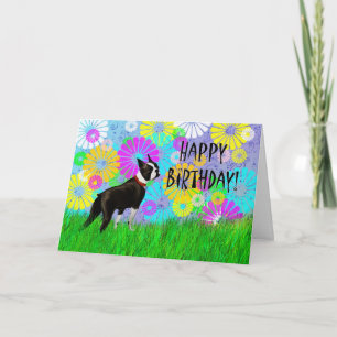Boston Terrier Dog Birthday Karte