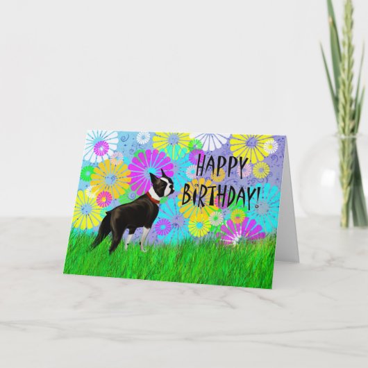 Boston Terrier Dog Birthday Karte (Vorderseite)