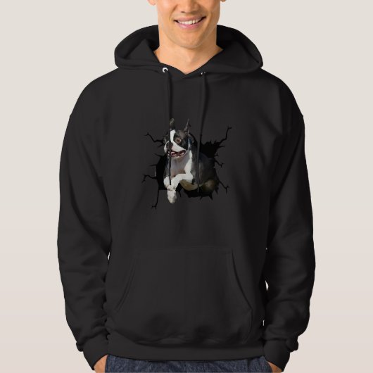Boston Terrier Dog bricht Hunde Welpe Decal Crack Hoodie (Vorderseite)