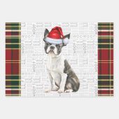 Boston Terrier Dog Holiday Kariert Weihnachten Geschenkpapier Set (Vorderseite)