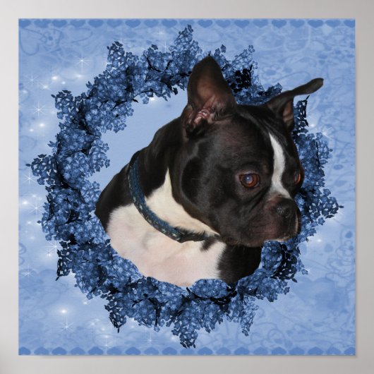 Boston Terrier Dog im Blumenkranz Poster (Vorne)