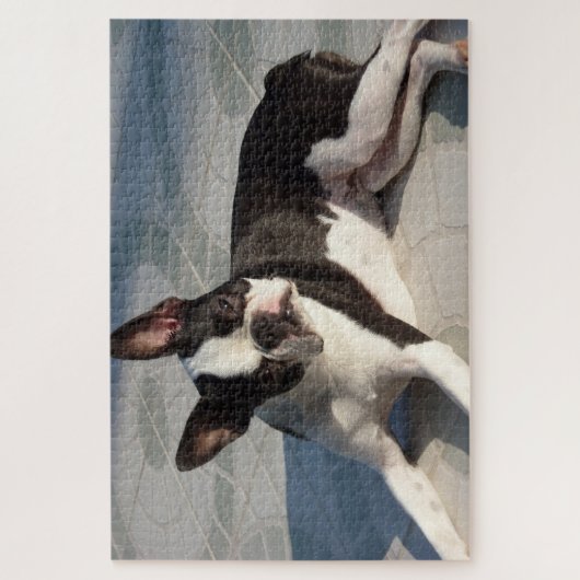 Boston Terrier Dog Jigsaw Puzzle Black and White (Vertikal)