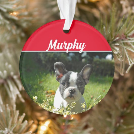 Boston Terrier Dog mit Name und Foto Weihnachten Ornament (Baum)