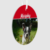 Boston Terrier Dog mit Name und Foto Weihnachten Ornament (Vorderseite)