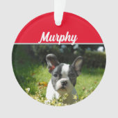 Boston Terrier Dog mit Name und Foto Weihnachten Ornament (Vorderseite)