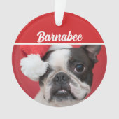 Boston Terrier Dog Name Foto Weihnachten Ornament (Vorderseite)