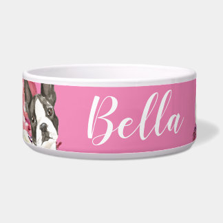 Boston Terrier Dog Napf