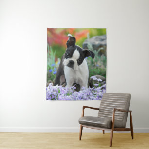 Boston Terrier Dog Niedlich Puppy Animal Head Foto Wandteppich