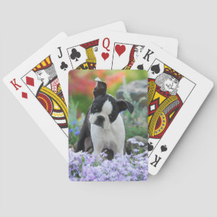 Boston Terrier Dog Niedlich Puppy in Blume - Spielkarten