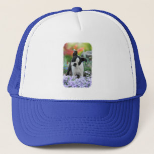 Boston Terrier Dog Niedlich Puppy Portrait Foto - Truckerkappe