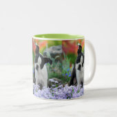 Boston Terrier Dog Niedlich Puppy Portrait Foto _ Zweifarbige Tasse (VorderseiteRechts)