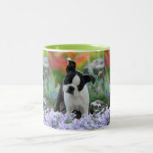Boston Terrier Dog Niedlich Puppy Portrait Foto _ Zweifarbige Tasse (Mittel)