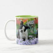 Boston Terrier Dog Niedlich Puppy Portrait Foto _ Zweifarbige Tasse (Links)