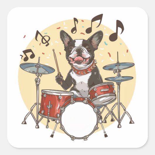 Boston Terrier Dog Playing Drums Quadratischer Aufkleber (Vorderseite)