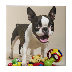 Boston Terrier Dog Playing with Toys Fliese