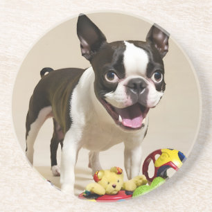 Boston Terrier Dog Playing with Toys Getränkeuntersetzer