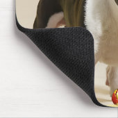 Boston Terrier Dog Playing with Toys Mousepad (Ecke)