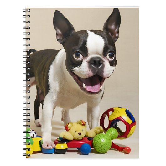 Boston Terrier Dog Playing with Toys Notizblock (Vorderseite)