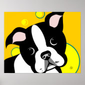 Boston Terrier Dog Poster (Vorne)