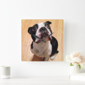 Boston Terrier Dog Quadratische Wanduhr (Zuhause)