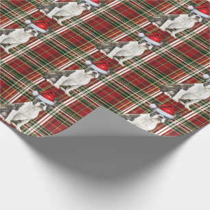 Boston Terrier Dog Red Green Kariert Weihnachten Geschenkpapier