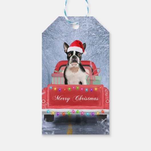 Boston Terrier Dog Snow sitzt im Truck Geschenkanhänger (Vorderseite)