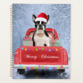 Boston Terrier Dog Snow sitzt im Truck Planer (Vorderseite)