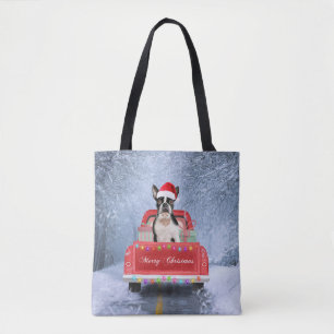 Boston Terrier Dog Snow sitzt im Truck Tasche