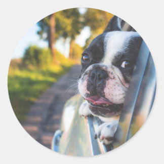 Boston Terrier Dog Sticken Kopf aus Autofenster Runder Aufkleber