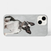 Boston Terrier Dog Tier Tierart iPhone Hülle (Rückseite (Horizontal))