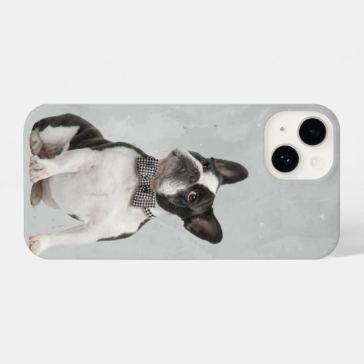 Boston Terrier Dog Tier Tierart iPhone Hülle (Rückseite (Horizontal))
