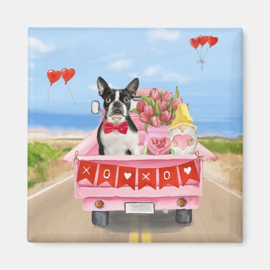 Boston Terrier Dog Valentine's Day Truck Hearts Magnet (Vorne)