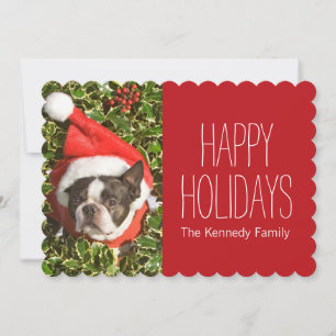 Boston Terrier Dog Wearing in Christmas wreath Feiertagskarte