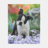 Boston Terrier Dog Welpe gemütlich Fleecedecke (Vorderseite)
