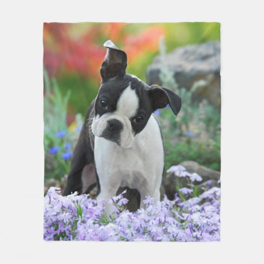 Boston Terrier Dog Welpe gemütlich Fleecedecke (Vorderseite)